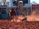 Derby rodeo sans cheval