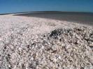 Shark Bay Shell beach
