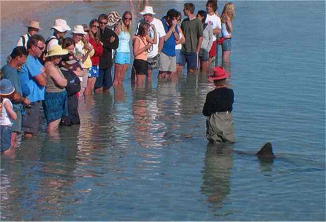 Shark Bay Monkey Mia