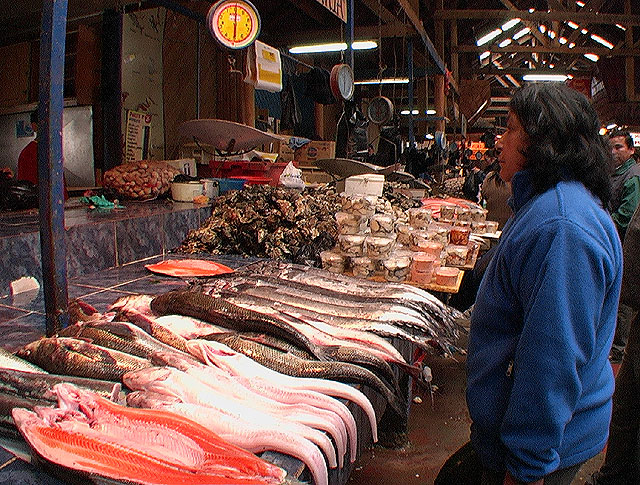 Castro feria campesina