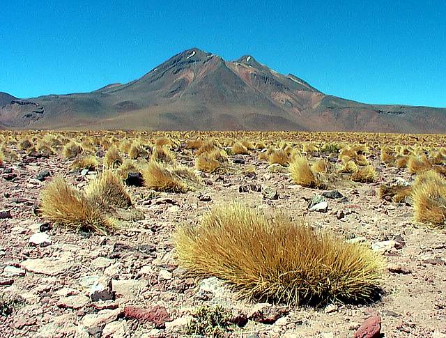 Altiplano volcan Lascar