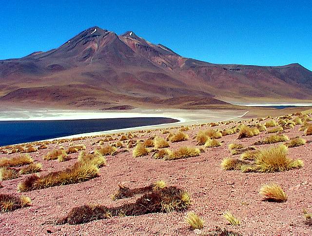 Lagunas Miscanti et Miniquez