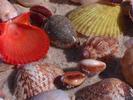 MOZ couleurs de mer