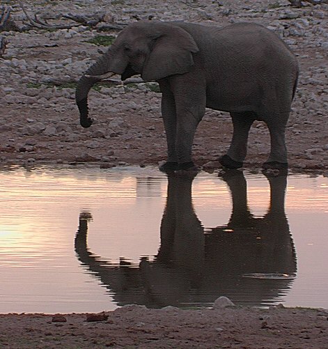 Coucher de soleil au camp