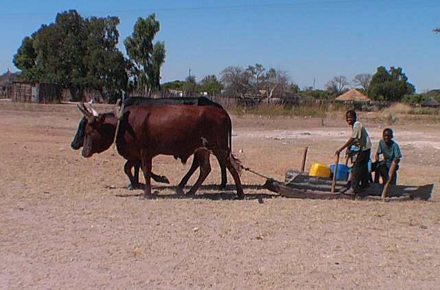 vie rurale kavango
