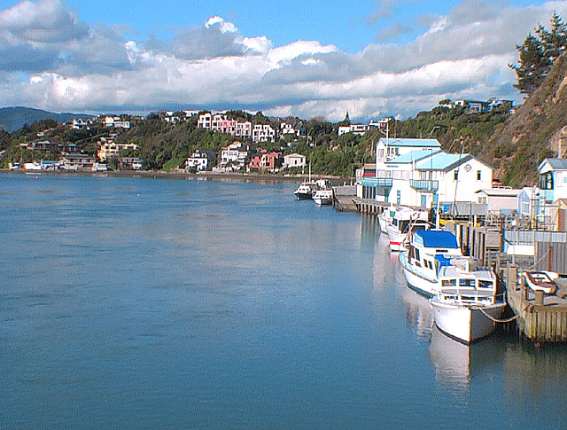 Wellington port plaisance
