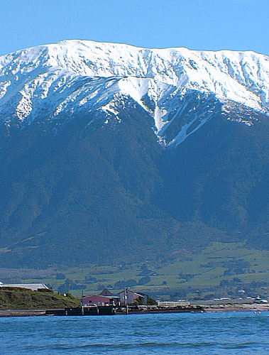 Kaikoura 5th quay