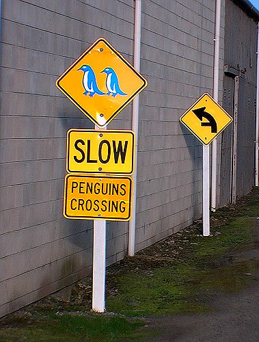 Signalisation suiver la fleche