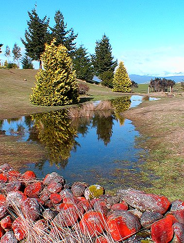 Te Anau Backpacker jardin