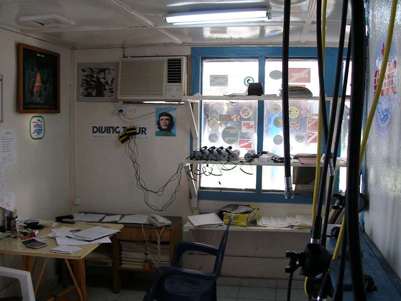 in_diving_club