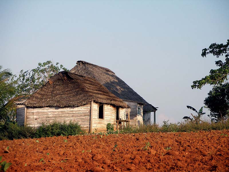 casa_in_the_field