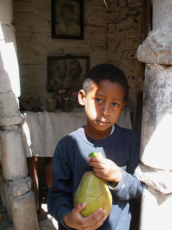 el_ninos