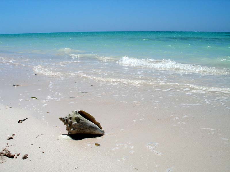 playa_Jutilas