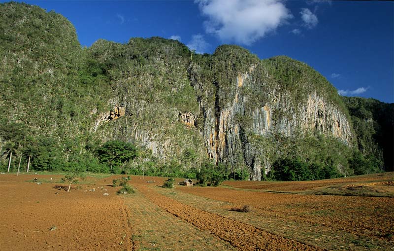 vinales_fields