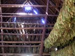 Tabacco_drying