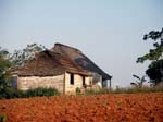 casa_in_the_field