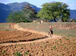 en_el_campo