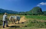 going_in_the_fields