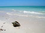 playa_Jutilas