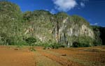 vinales_fields