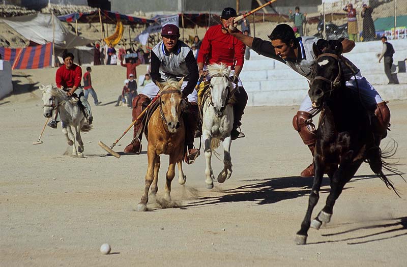polo_in_action