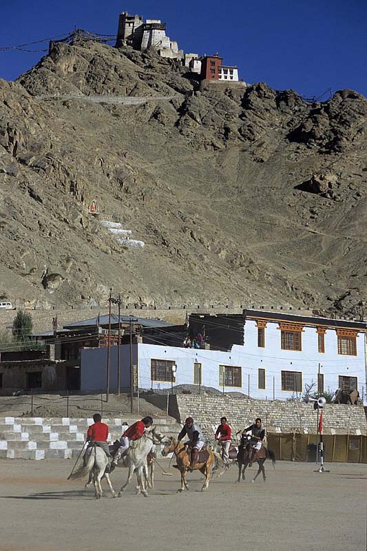 polo_leh