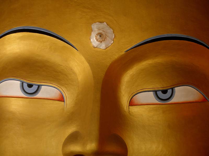 tikse_regard_de_boudha