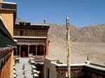 hemis