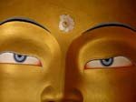 tikse_regard_de_boudha