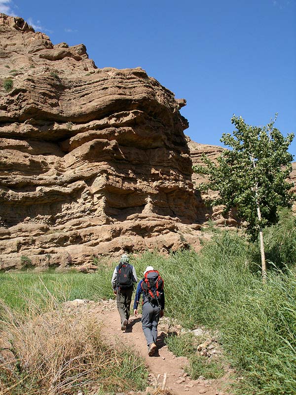 35-walk_in_the_filed