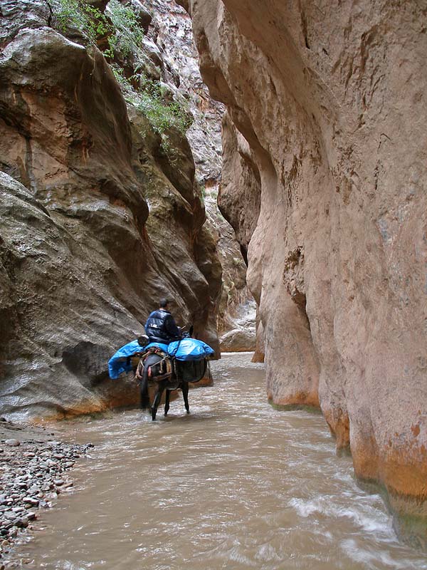 42a-canyon