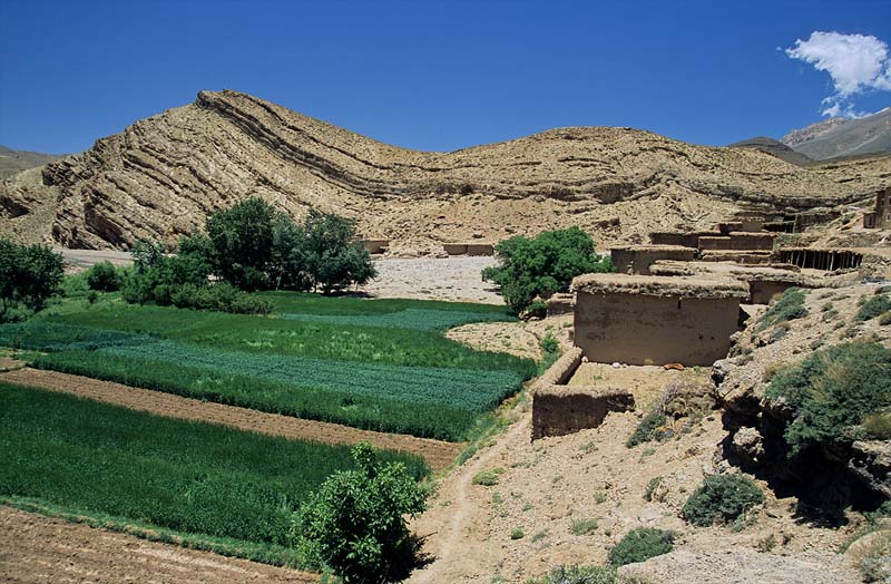 49a-village_with_fields