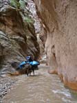 42a-canyon