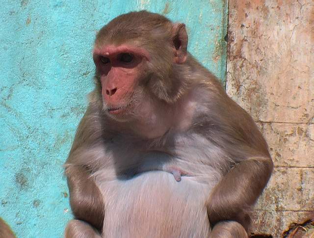 Mt Popa guichet des reclamations