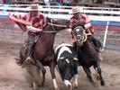 Dalcahue rodeo Chileno