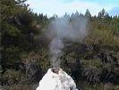 WaioTapu Oxer geiser