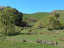 parc a moutons