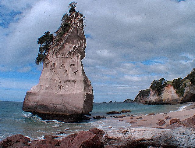 Cathedrale cove